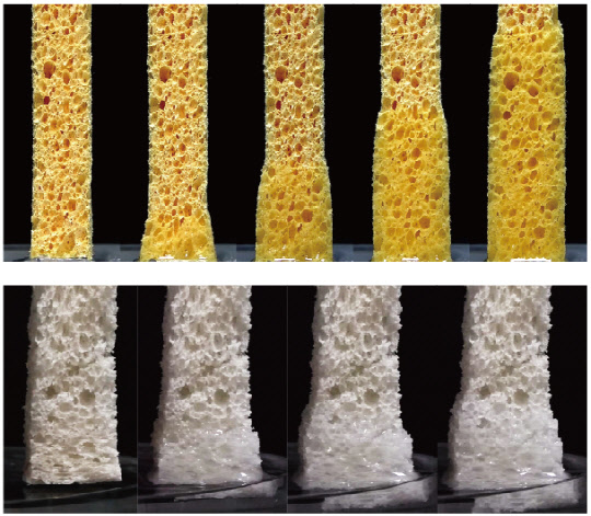 스펀지와 식빵의 흡수 팽창 과정 모습. 김호영 교수 연구팀은 세계 최초로 물이 스며드는 스펀지의 내부를 전자현미경으로 촬영했다. 그 결과 스펀지(재료) 내부에 있는 작은 구멍이 늘어나 주변 구멍과 합쳐지고 이것이 물의 흐름에 영향을 준다는 것을 발견했다. 서울대 공대 제공